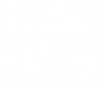 BSF-Asia-Vector-Logo-WHITE