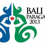 Countdown to the 1st Bali ParaGames